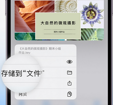 江孜apple维修中心分享iPhone文件应用中存储和找到下载文件