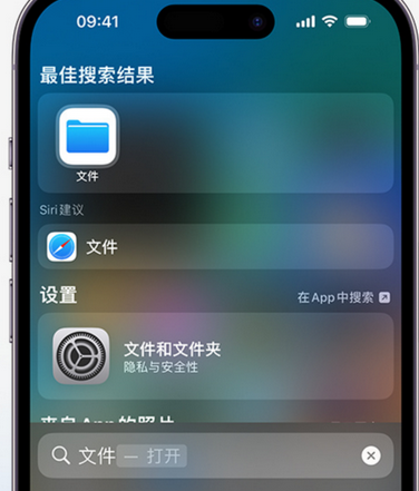 江孜apple维修中心分享iPhone文件应用中存储和找到下载文件 