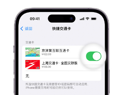 江孜apple维修点分享iPhone上更换Apple Pay快捷交通卡手绘卡面 