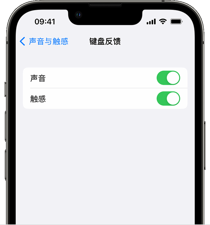 江孜苹果14维修店分享如何在 iPhone 14 机型中使用触感键盘 