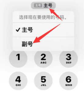 江孜苹果14维修店分享iPhone 14 Pro Max使用副卡打电话的方法 