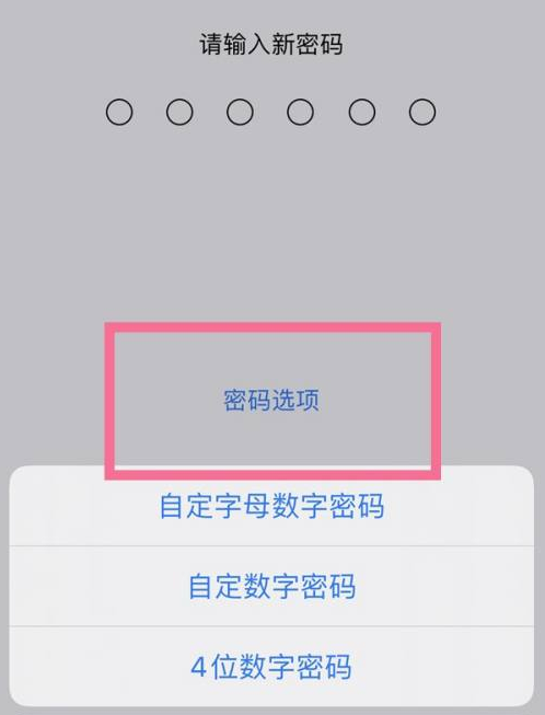 江孜苹果14维修分享iPhone 14plus设置密码的方法 