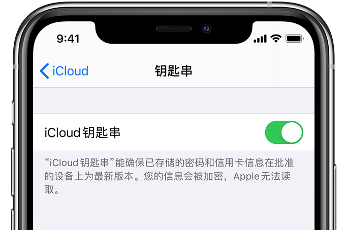 江孜苹果手机维修分享在 iPhone 上开启 iCloud 钥匙串之后会储存哪些信息 