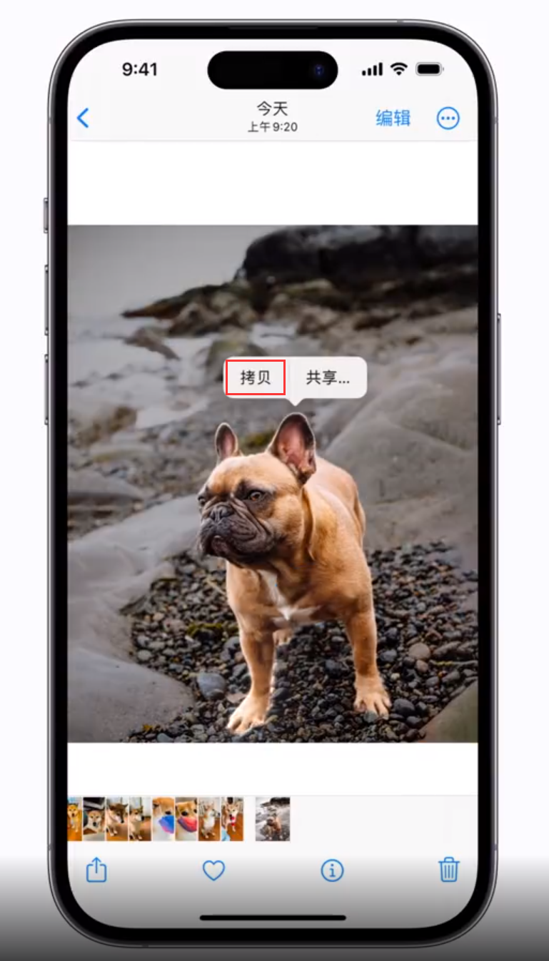 江孜苹果手机维修分享 iOS 16 自带一键抠图功能 