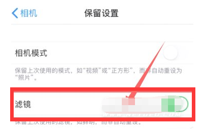 江孜苹果13维修分享iPhone13拍照有绿点是怎么回事 