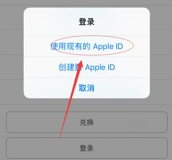 江孜苹果手机维修分享两台iPhone设备可以同时登录一个Apple ID吗 