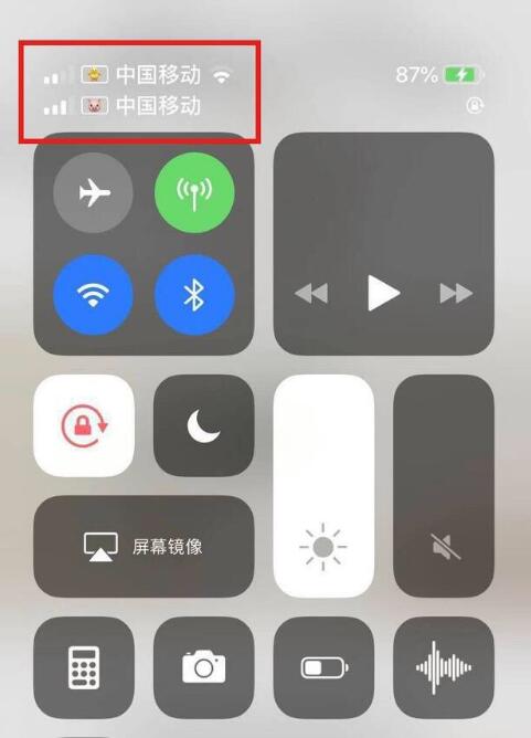江孜苹果手机维修分享为 iPhone 12 双卡设置标签 