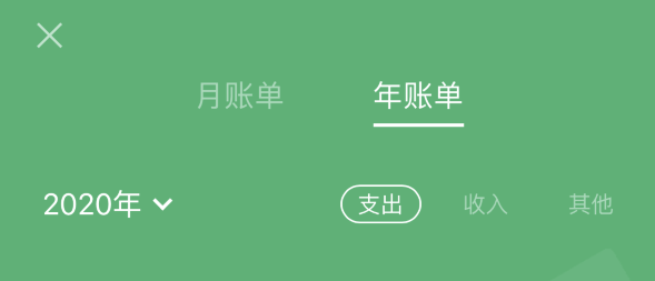 江孜苹果手机维修分享如何在 iPhone 上查看支付宝和微信年支出账单 